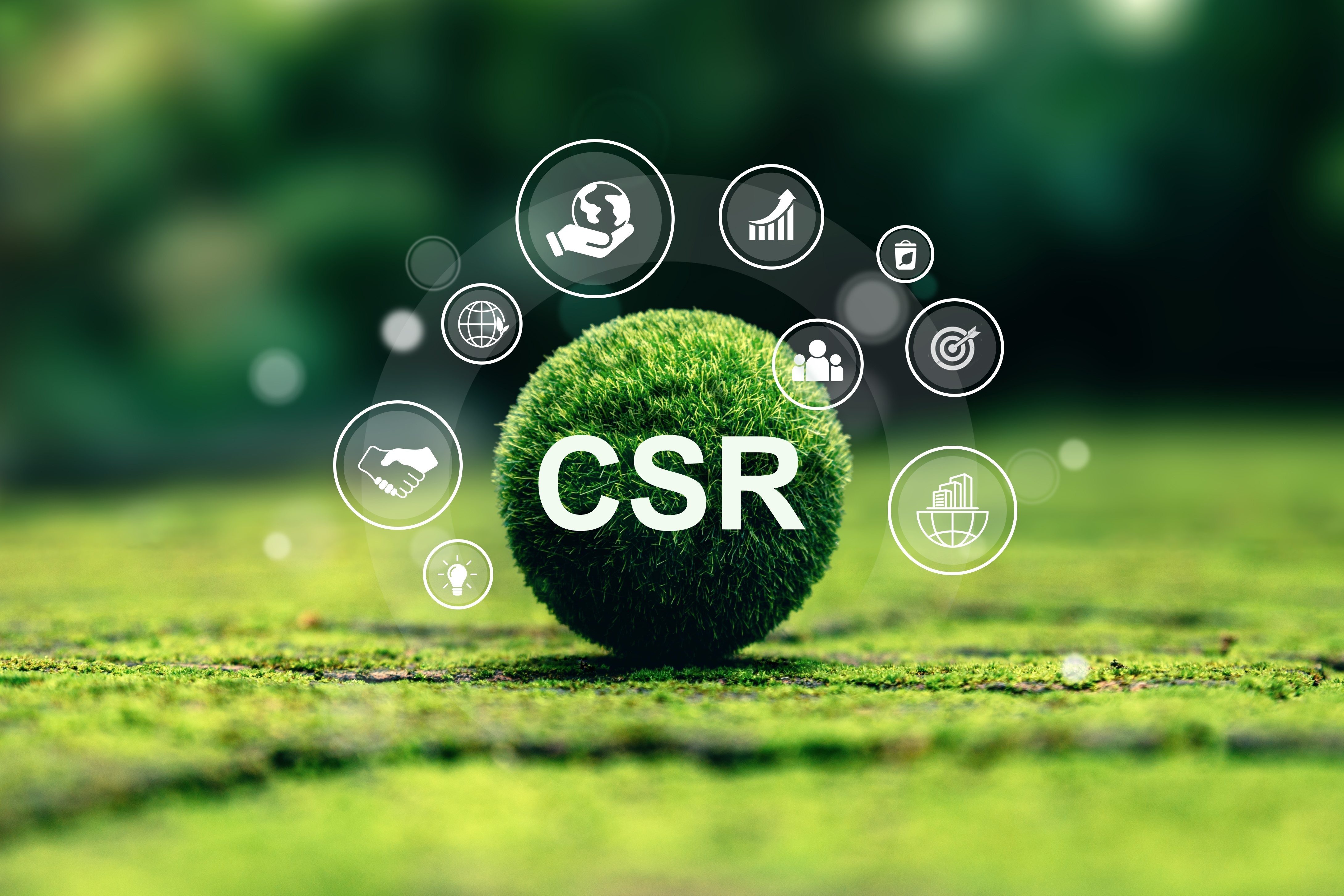 CSR activities